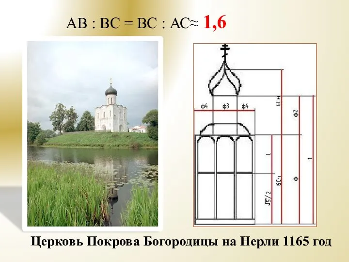 Церковь Покрова Богородицы на Нерли 1165 год AB : BC = BC : АС≈ 1,6