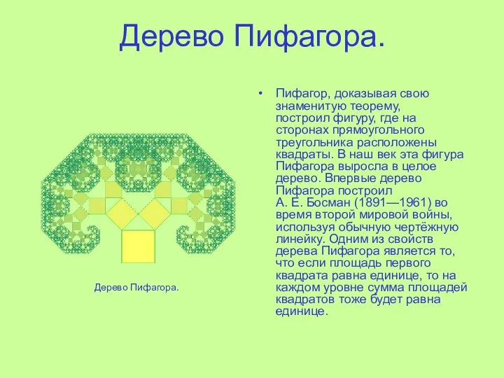 Дерево Пифагора. Пифагор, доказывая свою знаменитую теорему, построил фигуру, где на