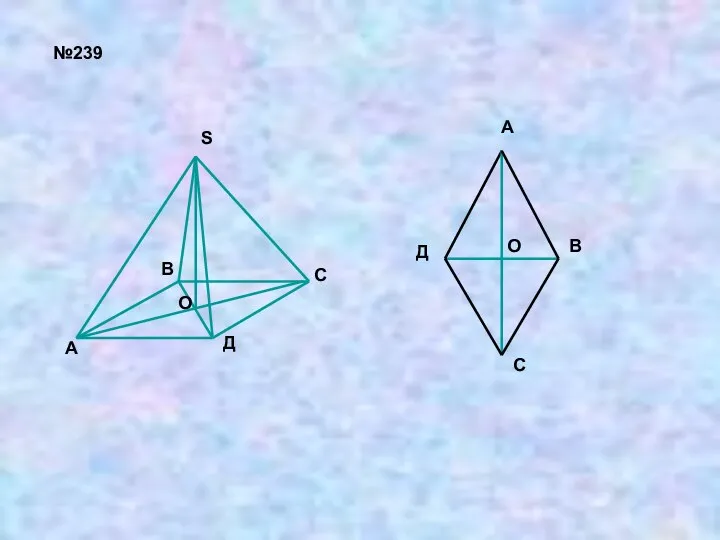 №239 А В С Д S О А В С Д О