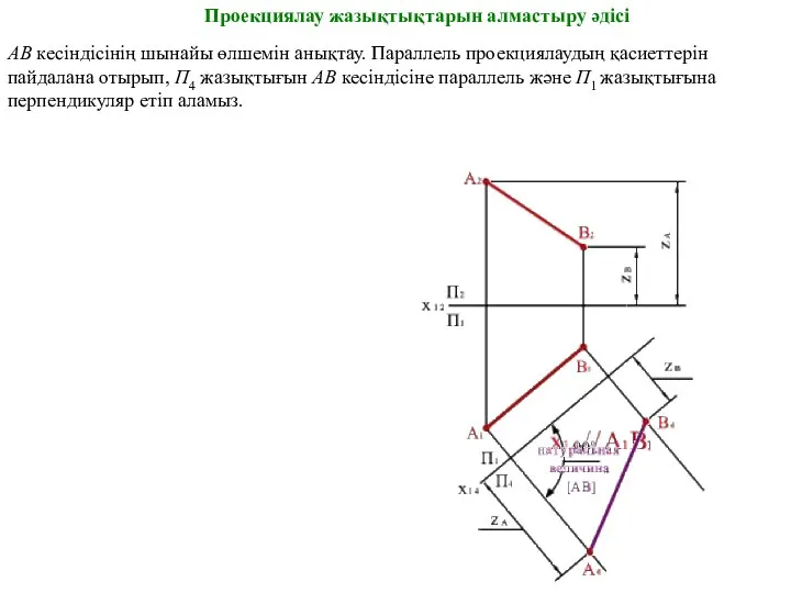 АВ кесіндісінің шынайы өлшемін анықтау. Параллель проекциялаудың қасиеттерін пайдалана отырып, П4