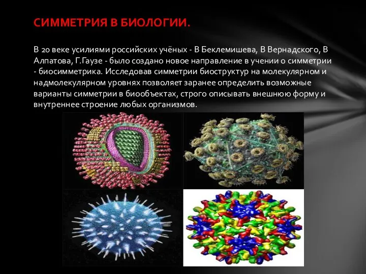 СИММЕТРИЯ В БИОЛОГИИ. В 20 веке усилиями российских учёных - В