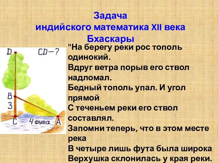 Задача индийского математика XII века Бхаскары "На берегу реки рос тополь