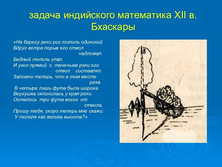 задача индийского математика XII в. Бхаскары «На берегу реки рос тополь