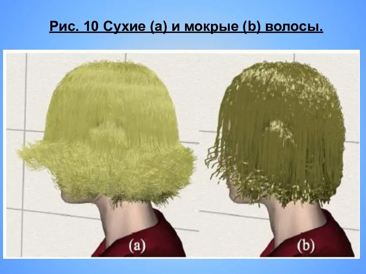 Рис. 10 Сухие (a) и мокрые (b) волосы.