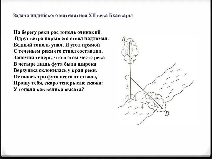 Задача индийского математика XII века Бхаскары На берегу реки рос тополь