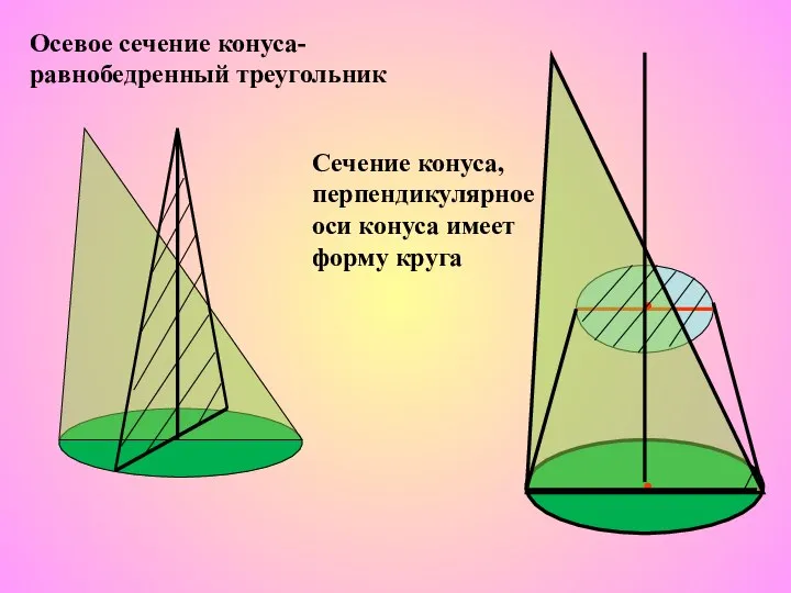 Осевое сечение конуса-равнобедренный треугольник Сечение конуса, перпендикулярное оси конуса имеет форму круга