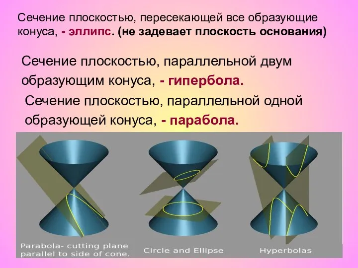 Сечение плоскостью, параллельной двум образующим конуса, - гипербола. Сечение плоскостью, параллельной