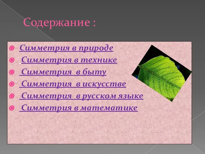 Содержание : Симметрия в природе Симметрия в технике Симметрия в быту