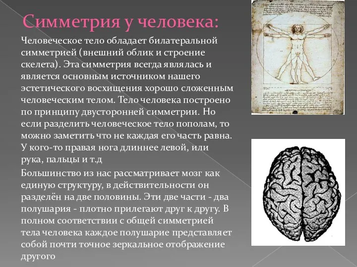 Симметрия у человека: Человеческое тело обладает билатеральной симметрией (внешний облик и