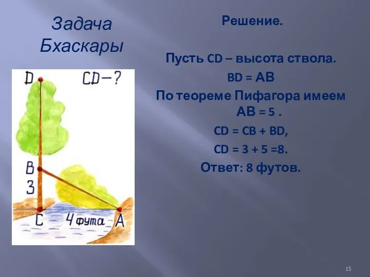 Задача Бхаскары Решение. Пусть CD – высота ствола. BD = АВ