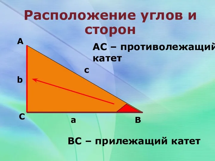 Расположение углов и сторон А С В b c a АС