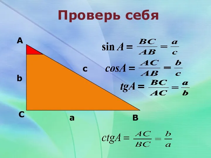 Проверь себя А С В b c a