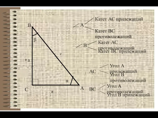 С А В в с а а α β А Катет