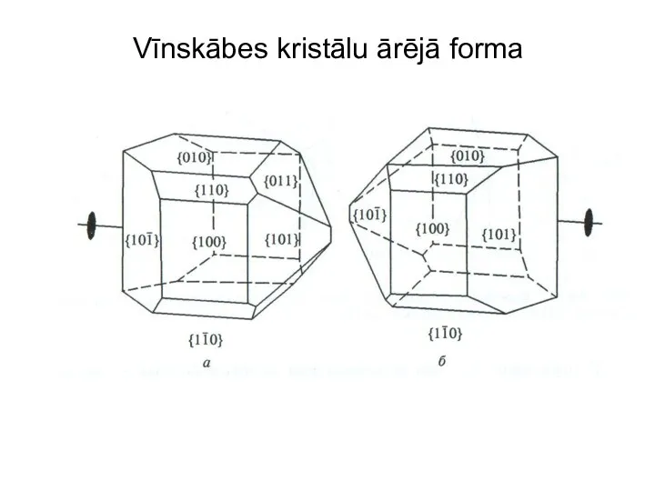 Vīnskābes kristālu ārējā forma