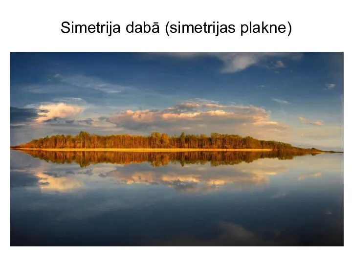 Simetrija dabā (simetrijas plakne)