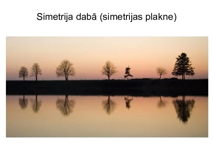 Simetrija dabā (simetrijas plakne)