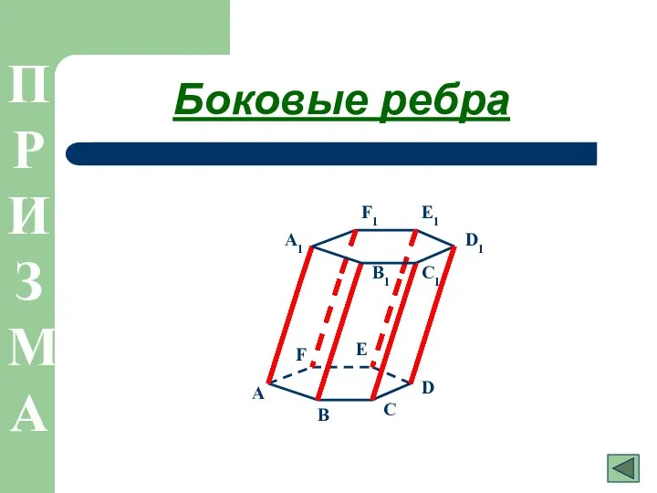 Боковые ребра A1 B1 C1 D1 E1 F1 A B C D E F