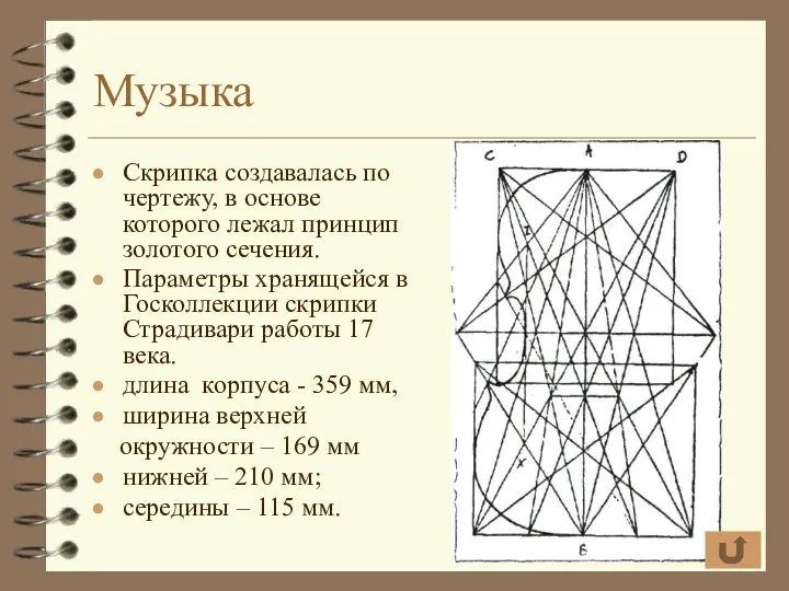 Музыка Скрипка создавалась по чертежу, в основе которого лежал принцип золотого