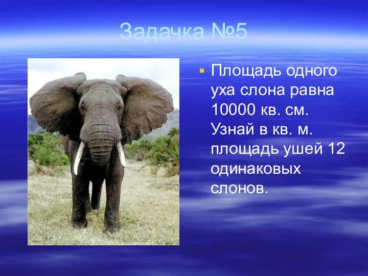 Задачка №5 Площадь одного уха слона равна 10000 кв. см. Узнай