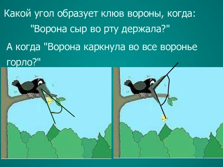 Какой угол образует клюв вороны, когда: "Ворона сыр во рту держала?"