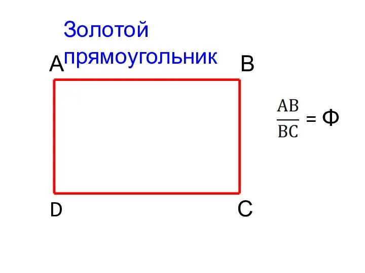 Золотой прямоугольник