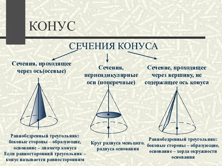 КОНУС СЕЧЕНИЯ КОНУСА Сечения, проходящее через ось(осевые) Сечения, перпендикулярные оси (поперечные)