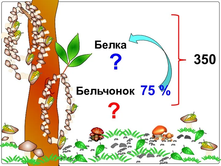 Белка Бельчонок