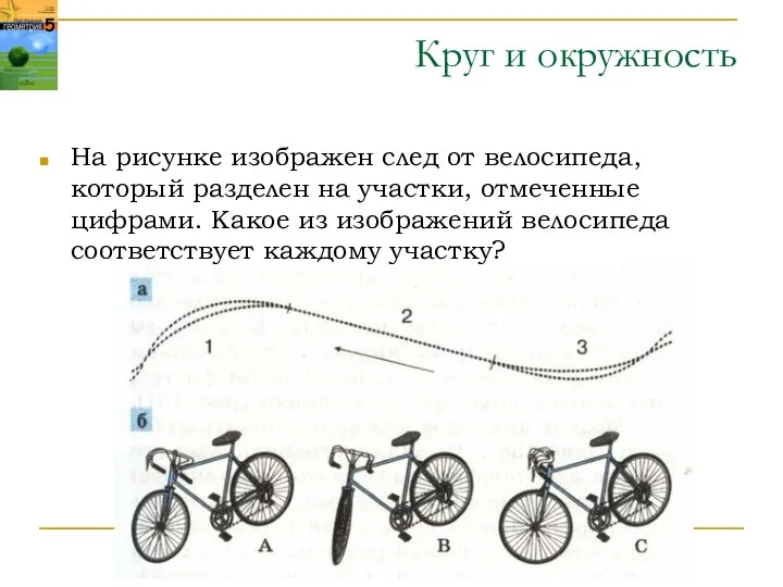 Круг и окружность На рисунке изображен след от велосипеда, который разделен