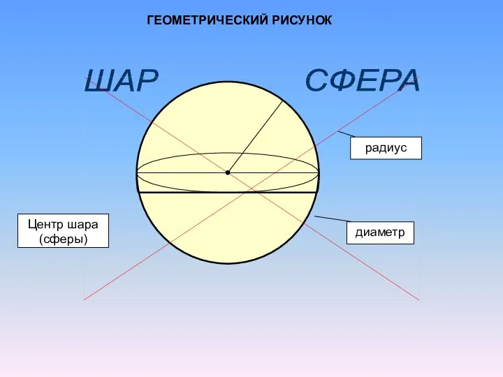 ШАР СФЕРА диаметр радиус Центр шара (сферы) ГЕОМЕТРИЧЕСКИЙ РИСУНОК