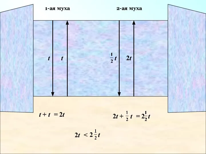 1-ая муха 2-ая муха t t 2t t + t = 2t