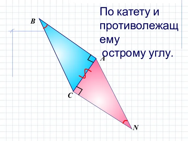 В А С N По катету и противолежащему острому углу.