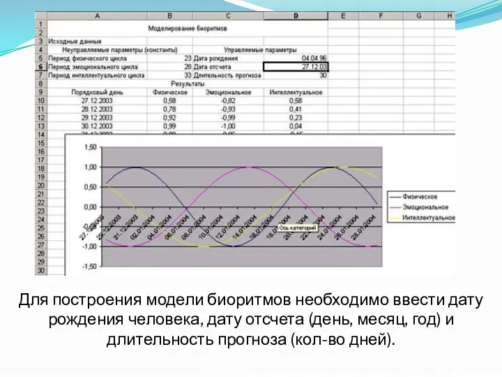 Для построения модели биоритмов необходимо ввести дату рождения человека, дату отсчета