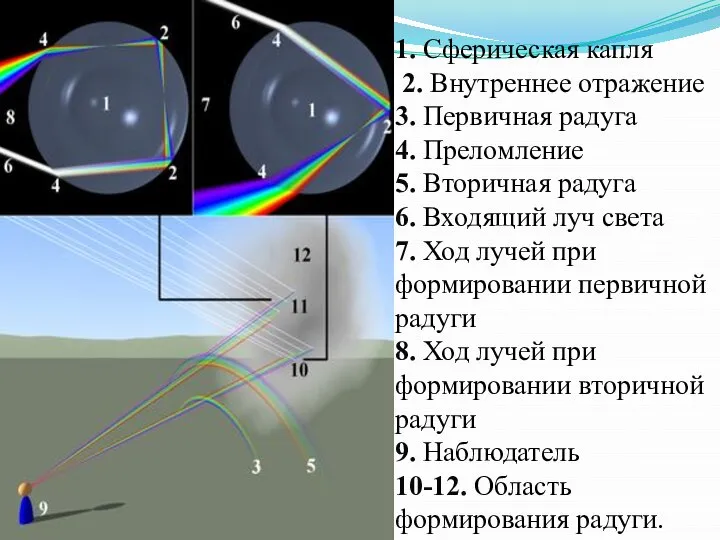 1. Сферическая капля 2. Внутреннее отражение 3. Первичная радуга 4. Преломление