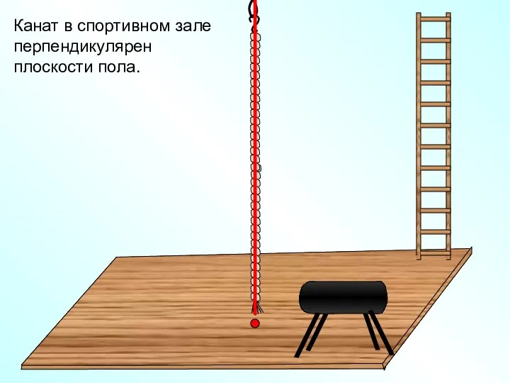 Канат в спортивном зале перпендикулярен плоскости пола.