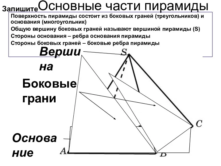 Поверхность пирамиды состоит из боковых граней (треугольников) и основания (многоугольник) Общую