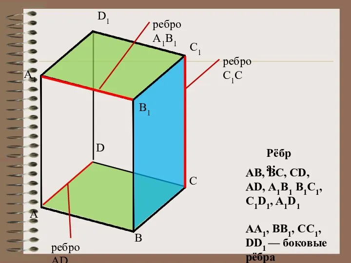 A D C B A1 D1 C1 B1 ребро A1B1 ребро