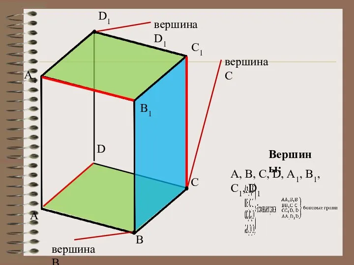 A D C B A1 D1 C1 B1 вершина D1 вершина