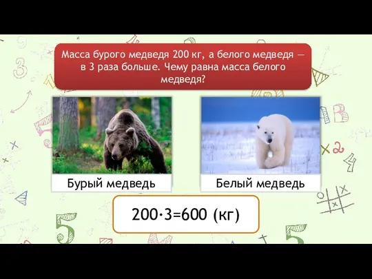 Масса бурого медведя 200 кг, а белого медведя — в 3