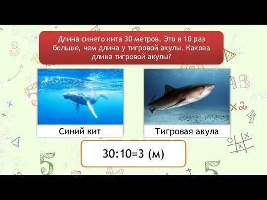 Длина синего кита 30 метров. Это в 10 раз больше, чем