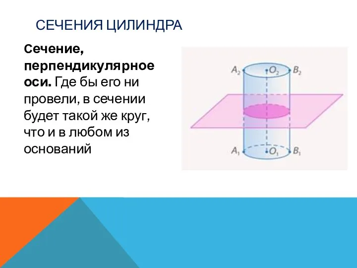 СЕЧЕНИЯ ЦИЛИНДРА Сечение, перпендикулярное оси. Где бы его ни провели, в