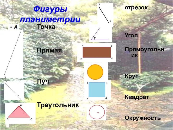 Точка Прямая Луч Треугольник отрезок Угол Прямоугольник Круг Квадрат Окружность Фигуры планиметрии