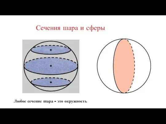 Сечения шара и сферы Любое сечение шара - это окружность