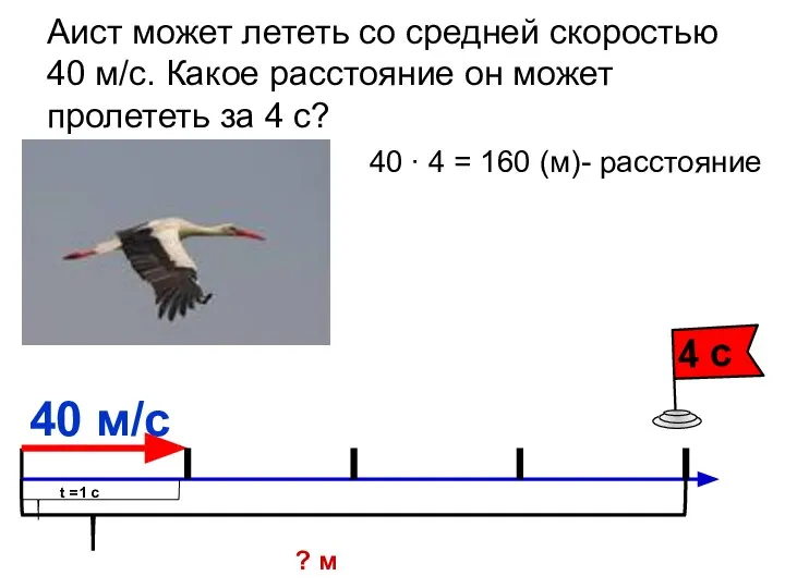 Аист может лететь со средней скоростью 40 м/с. Какое расстояние он