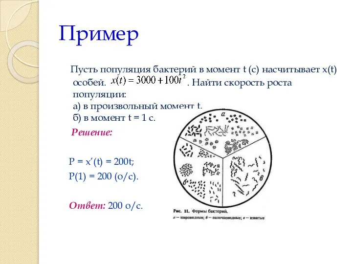 Пример Пусть популяция бактерий в момент t (с) насчитывает x(t) особей.