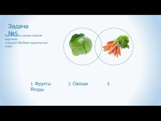 Задача №5 Как описать одним словом картинки в кругах? Выбери правильный