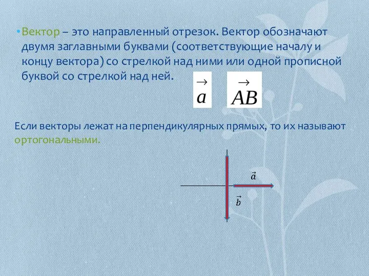 Вектор – это направленный отрезок. Вектор обозначают двумя заглавными буквами (соответствующие