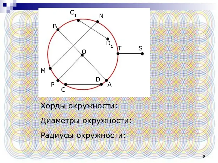 Хорды окружности: Диаметры окружности: Радиусы окружности: С1 N D1 M O