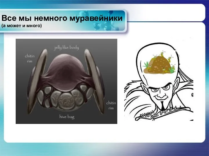 Все мы немного муравейники (а может и много)