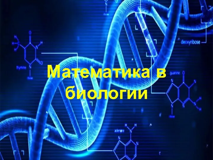 Математика в биологии