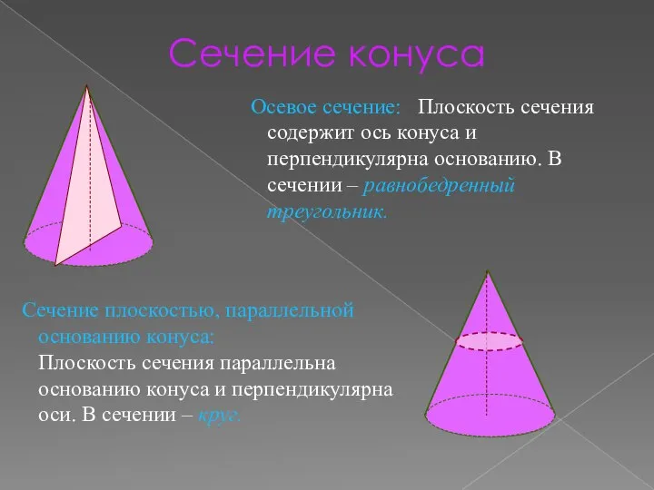 Сечение конуса Сечение плоскостью, параллельной основанию конуса: Плоскость сечения параллельна основанию